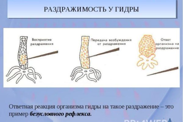 Кракен сайт ссылка тор браузере