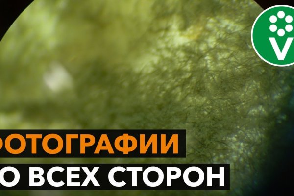 Ссылка кракен сайт зеркало